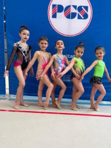 ginnastica ritmica chivasso asd la palestrina