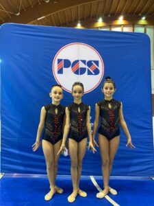 ginnastica ritmica chivasso asd la palestrina